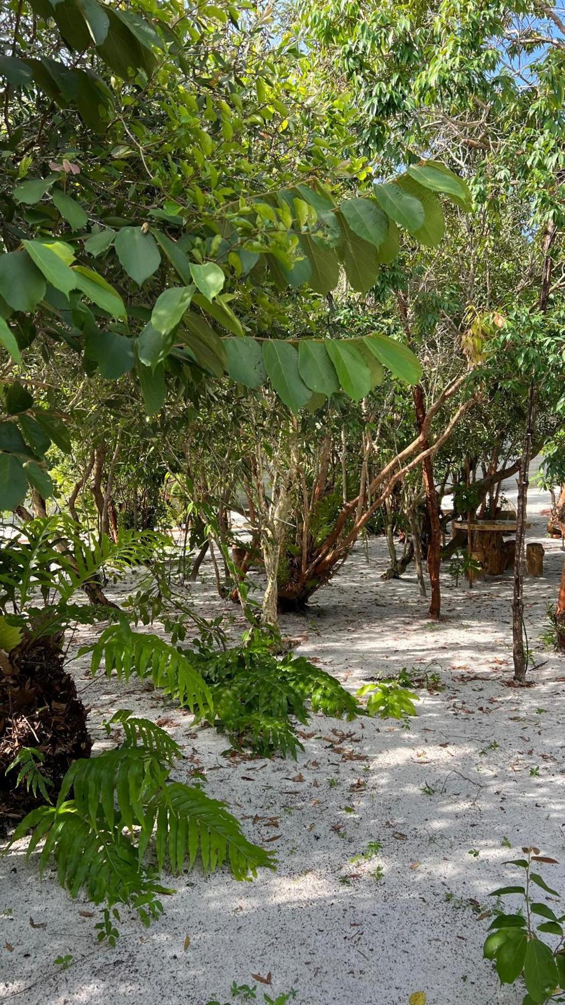 Golden Chenang Village Pantai Cenang  Exterior photo