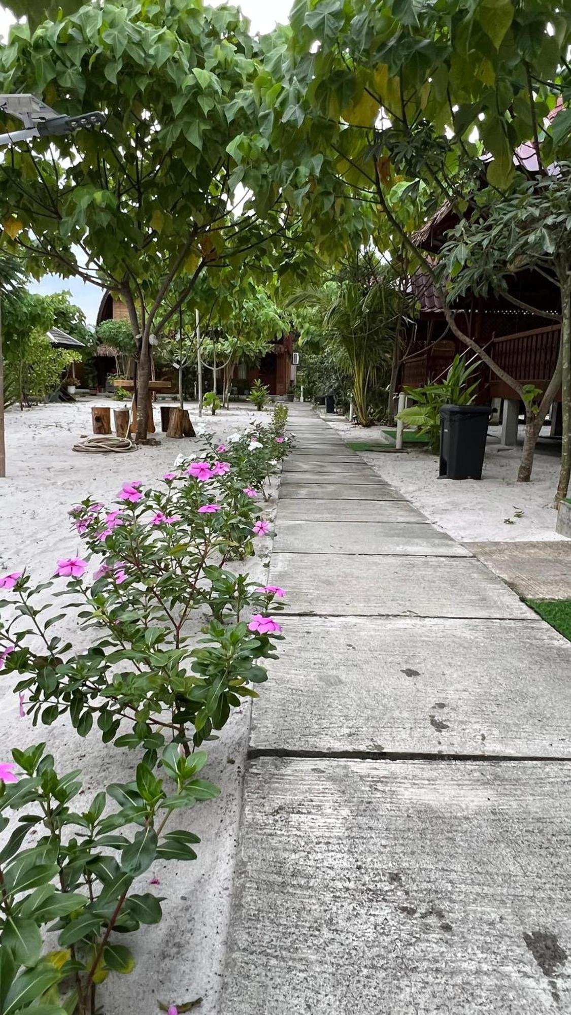 Golden Chenang Village Pantai Cenang  Exterior photo
